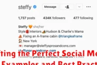 Crafting the Perfect Social Media Bio: Examples and Best Practices