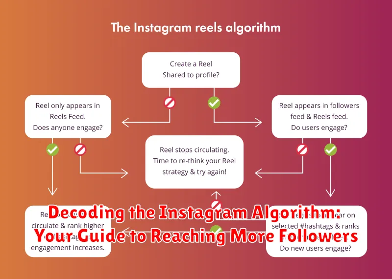 Decoding the Instagram Algorithm: Your Guide to Reaching More Followers