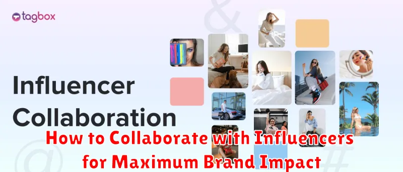 How to Collaborate with Influencers for Maximum Brand Impact
